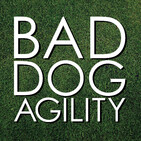 224: Defining YOUR Success in Dog Agility