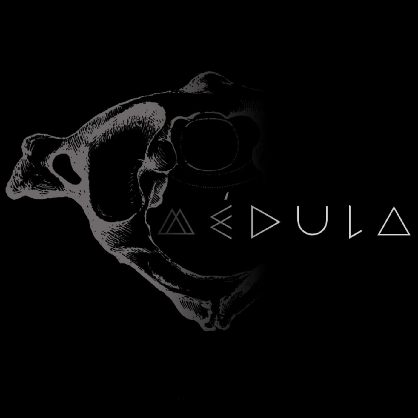MÉDULA