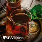 Turkey qualifies for EURO 2020 - Türkiye Euro 2020'de
