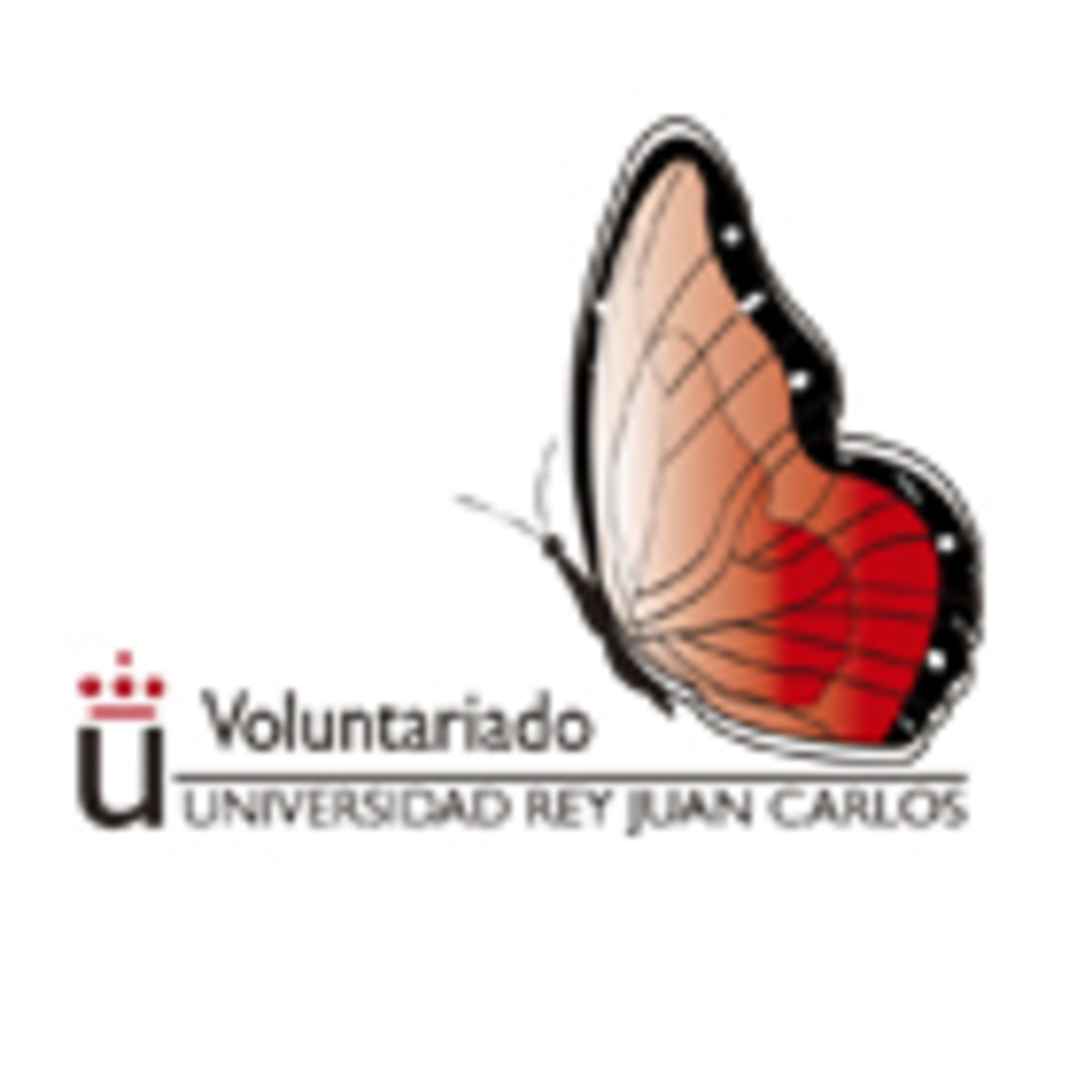 Cooperación y Voluntariado