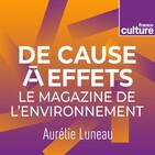 La finance au secours de la planète qui brûle