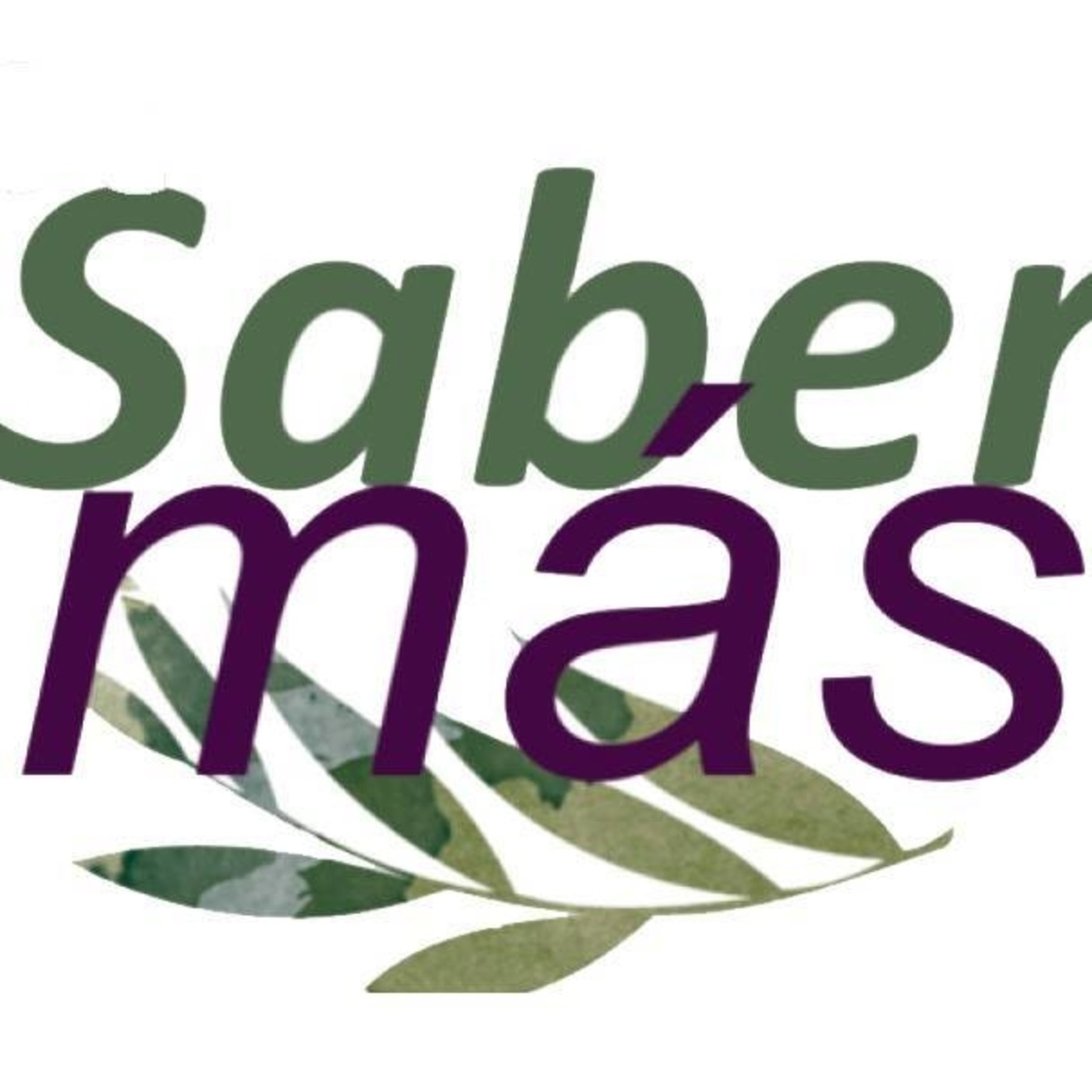 Saber Mas