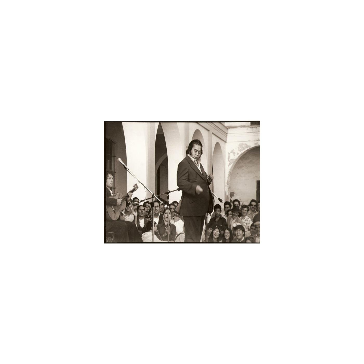 Flamenco Flamenco