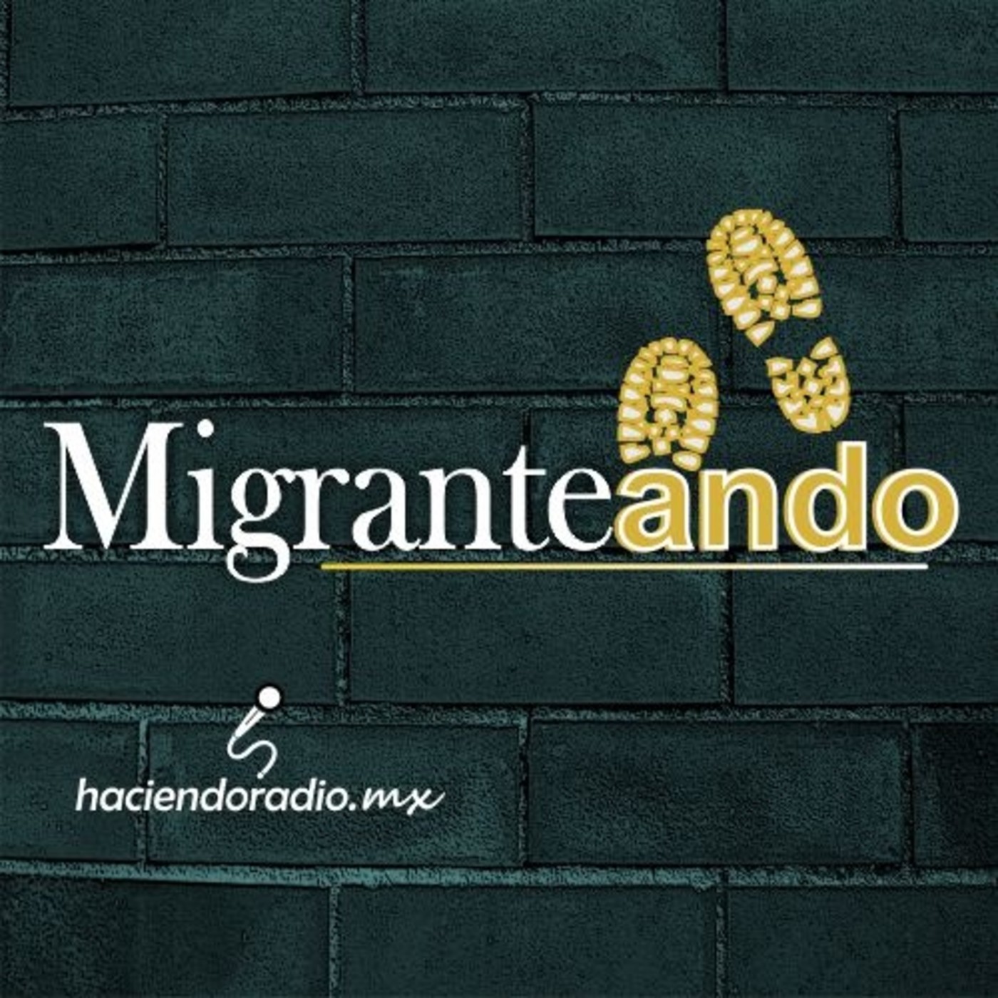 MIGRANTEANDO ENTREVISTAS