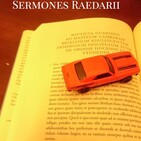 Sermo XXIV