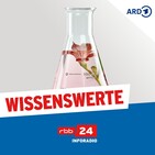 Cyber-Experten braucht das Land