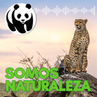 Somos naturaleza | El podcast de WWF España