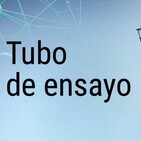 Aprendizaje colectivo