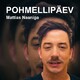 PohmellipÄev #17