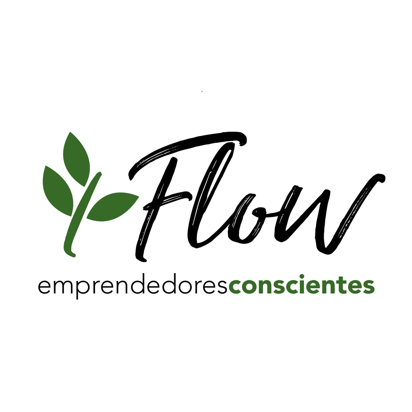 Pasivo Equipo Flow