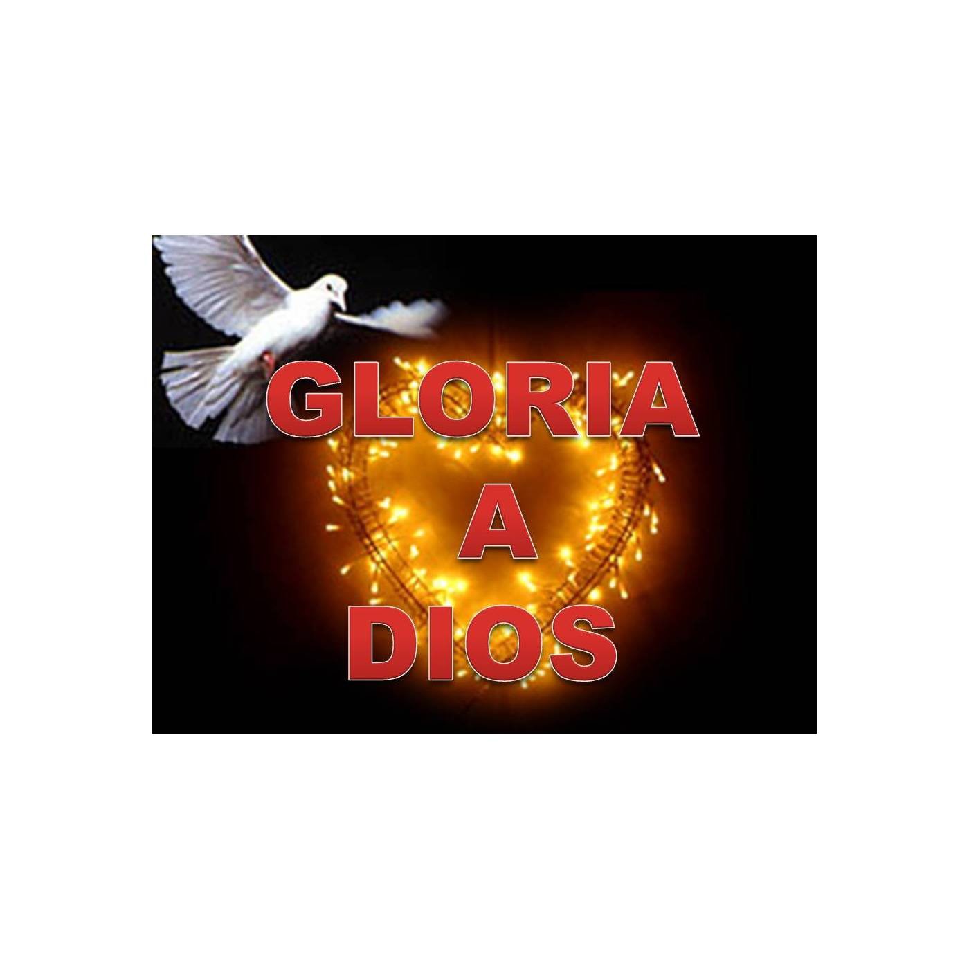 REFLEXIONES GLORIA A DIOS
