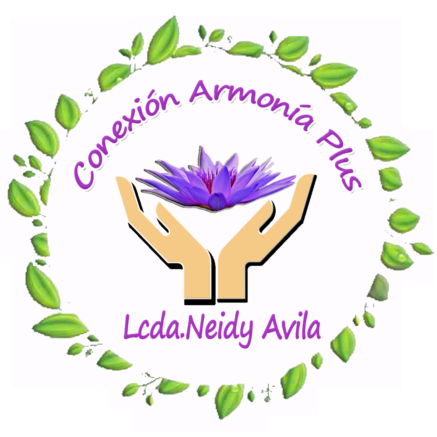 Conexión Armonia Plus 