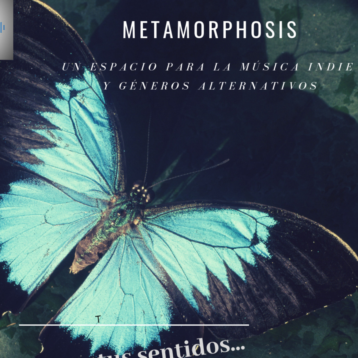 METAMORFOSIS 