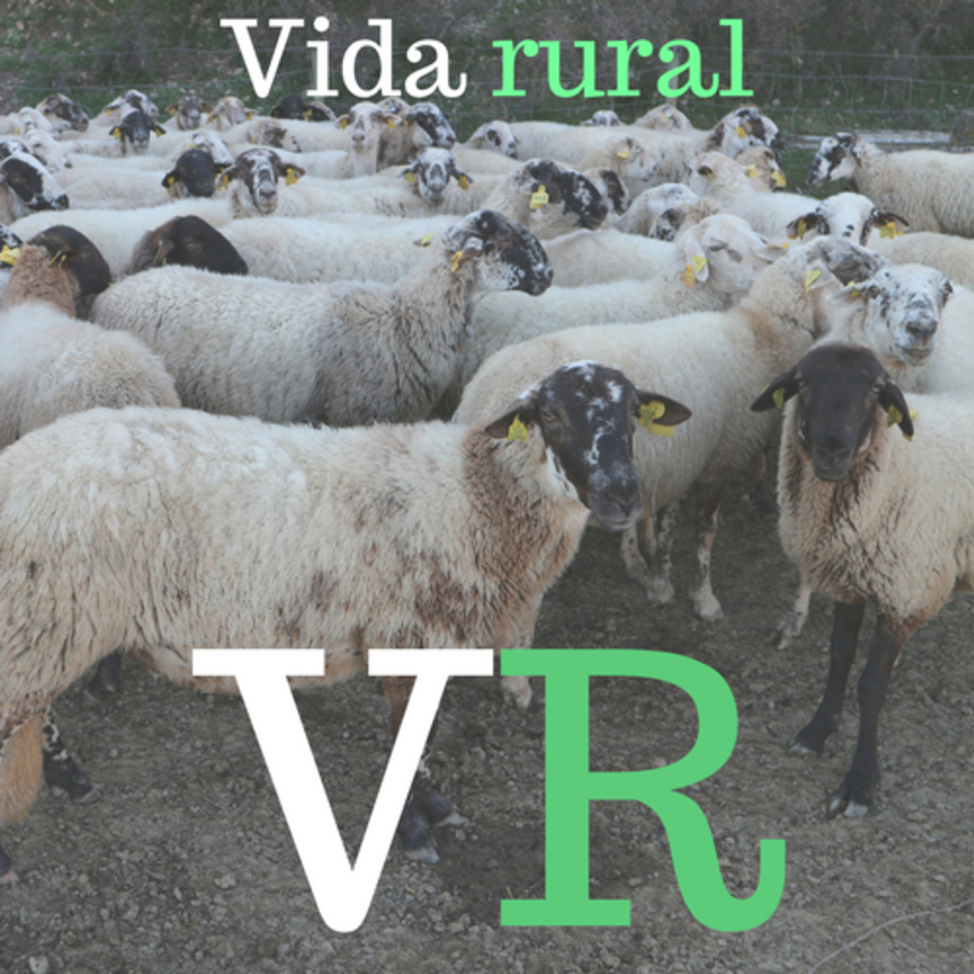 Vida rural a Ràdio Castellterçol - Temporada 02