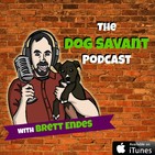 Episode 49 - Stay in Your Lane