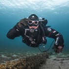 Episode 85 - Why We Dive
