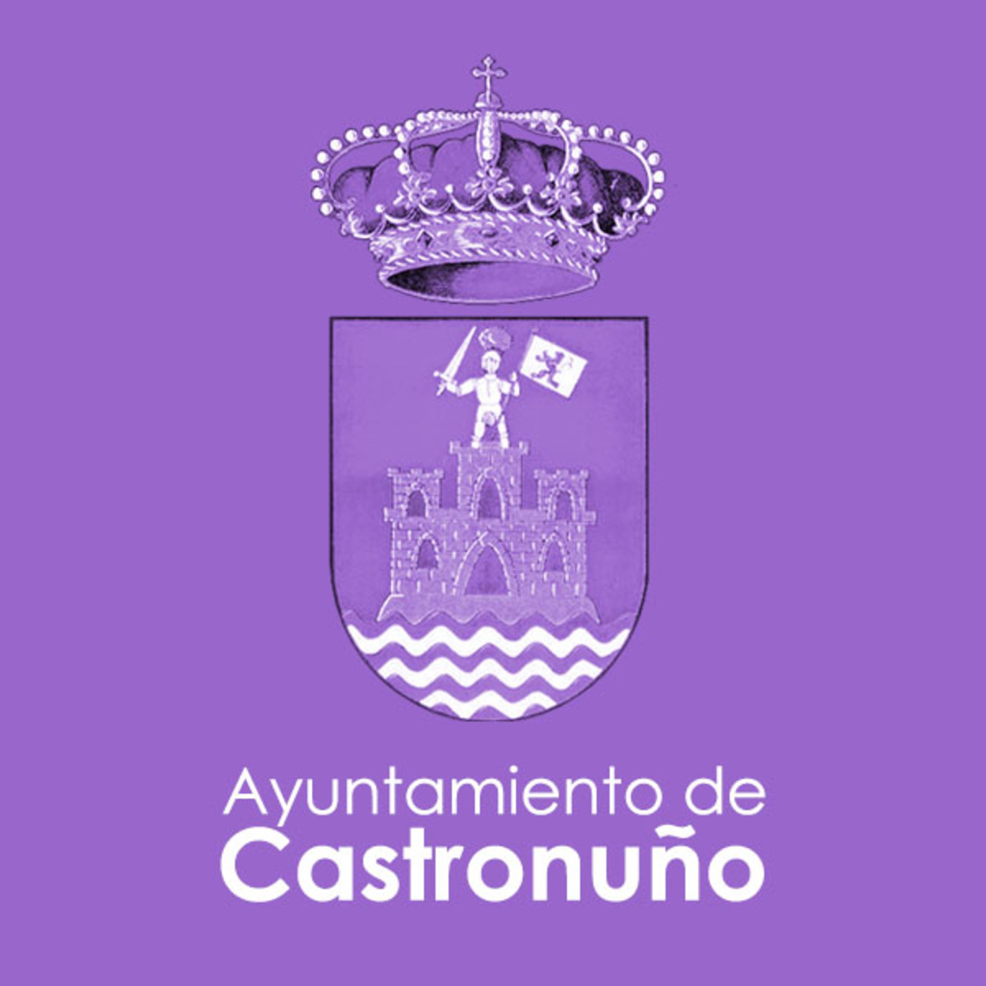 Plenos Ayuntamiento Castronuño