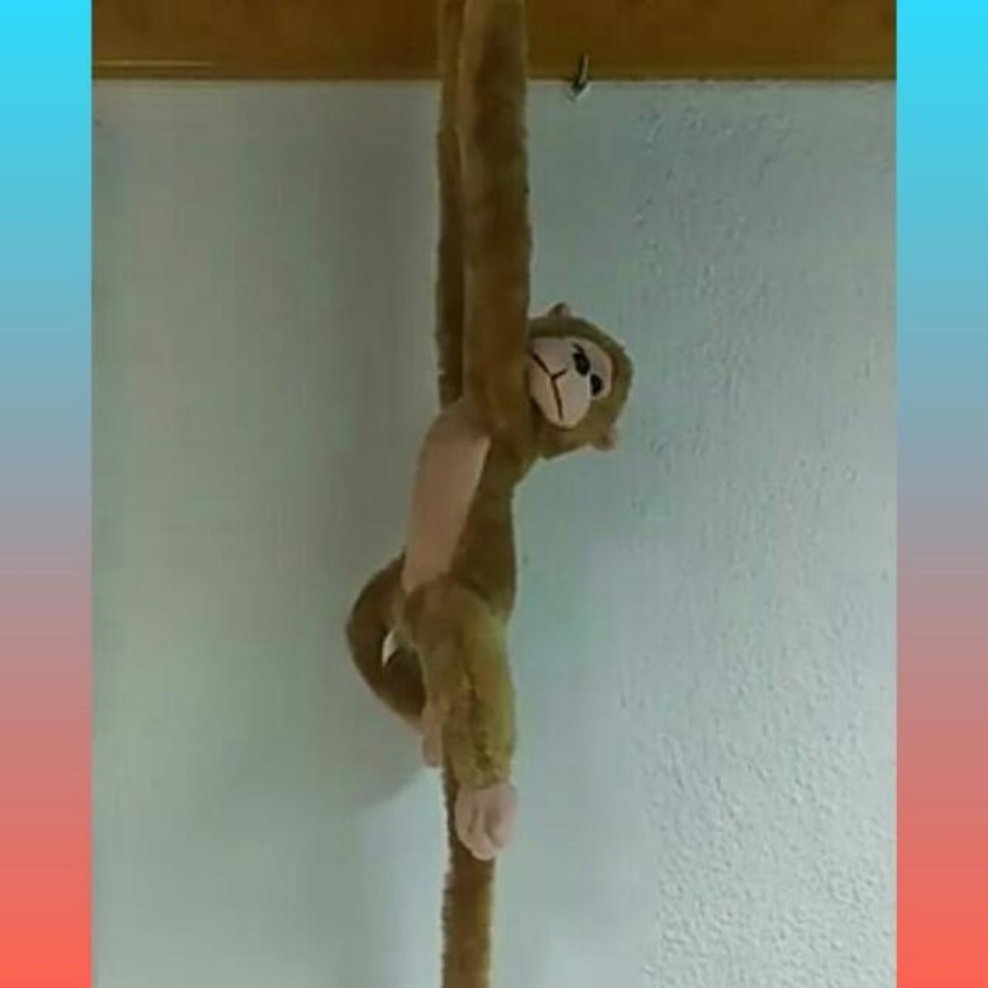 Jóvenes Sin Antena