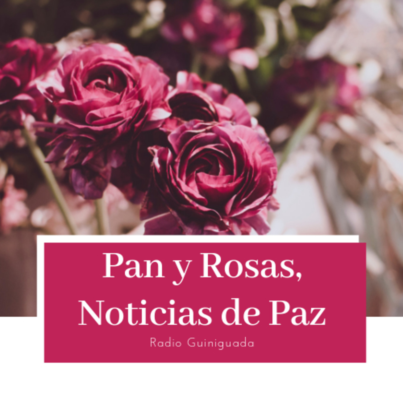 Pan y Rosas