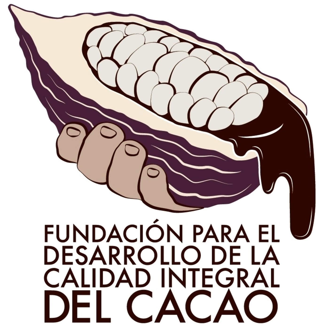 Que es el cacao