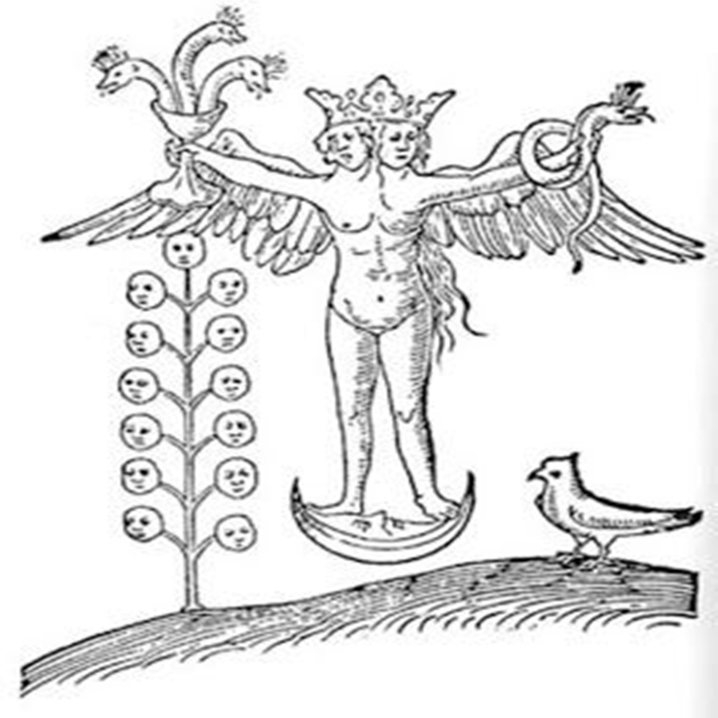 Lecturas del Aethyr
