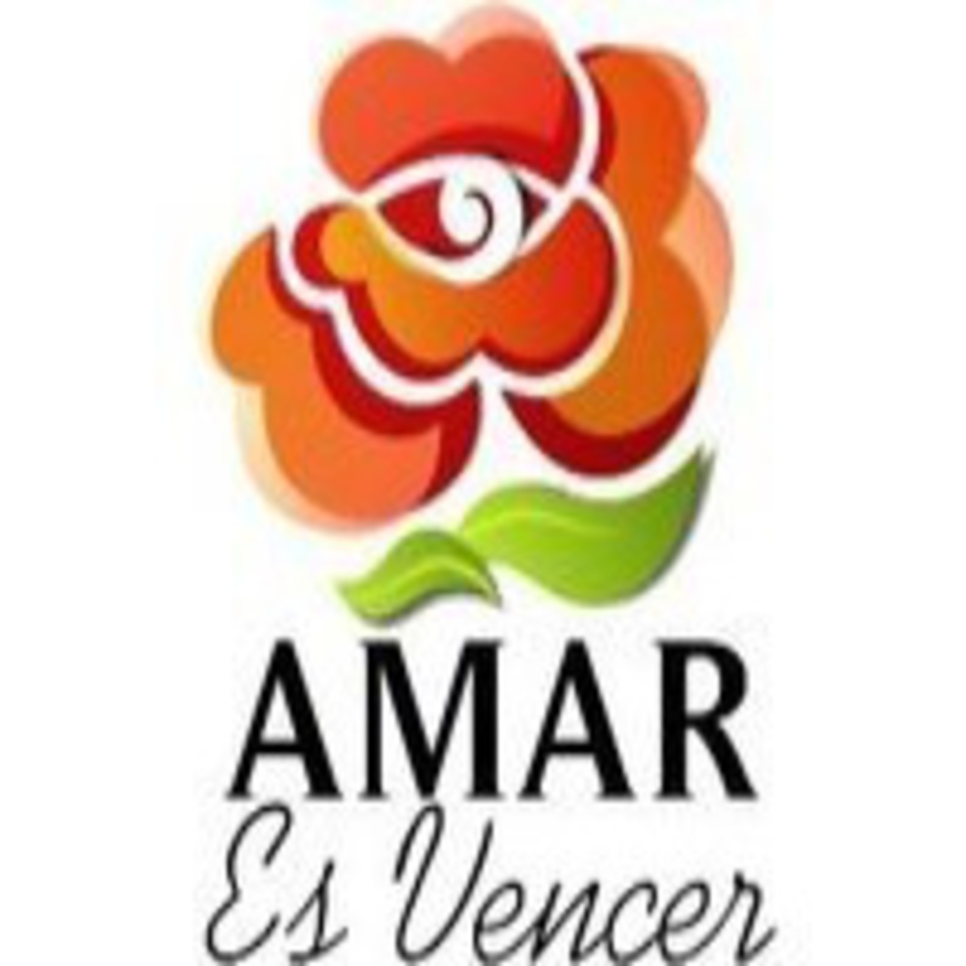 Conferencias y audios interesantes