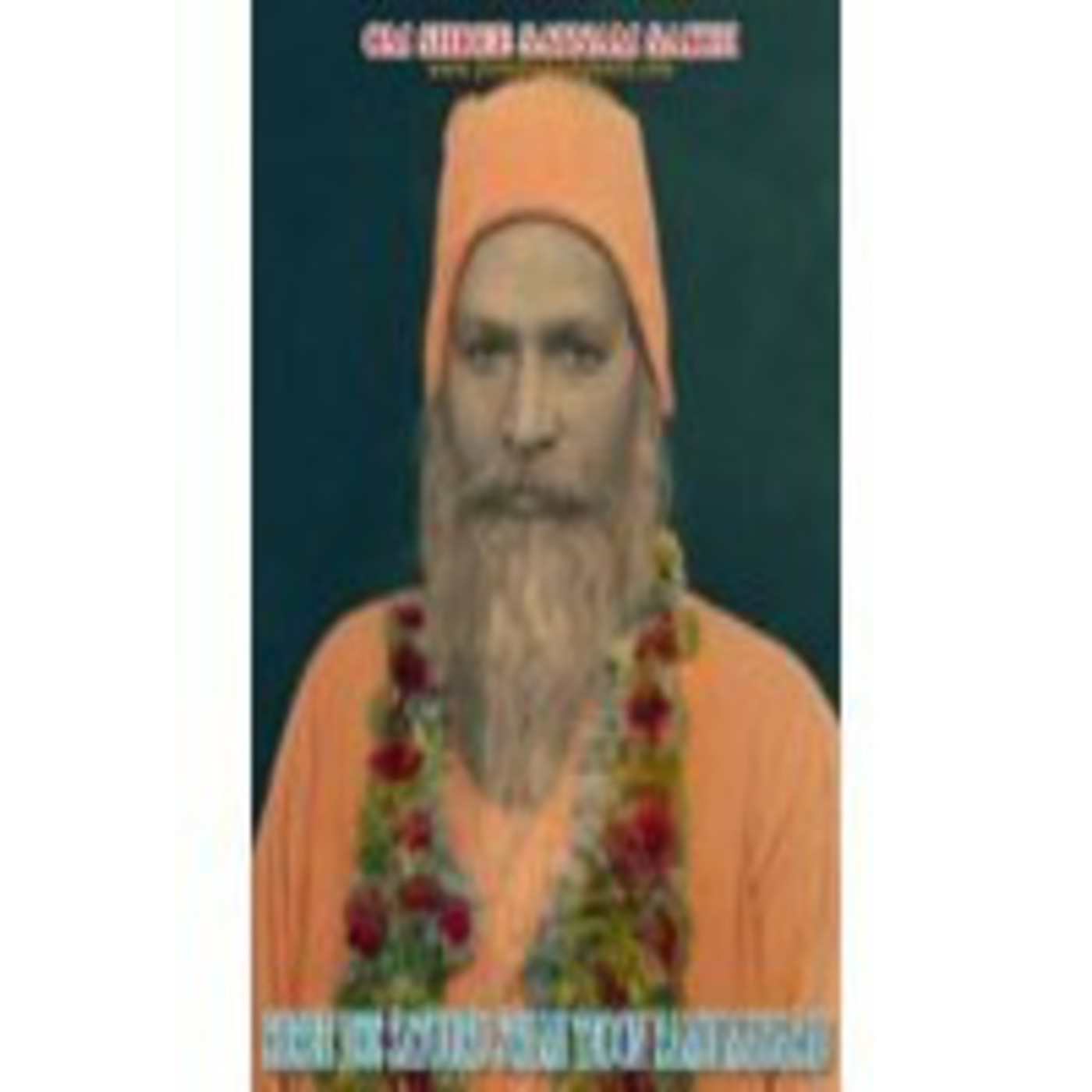 Satguru Swami Sarvanand, satsang 