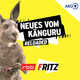 Bestes Känguru ever