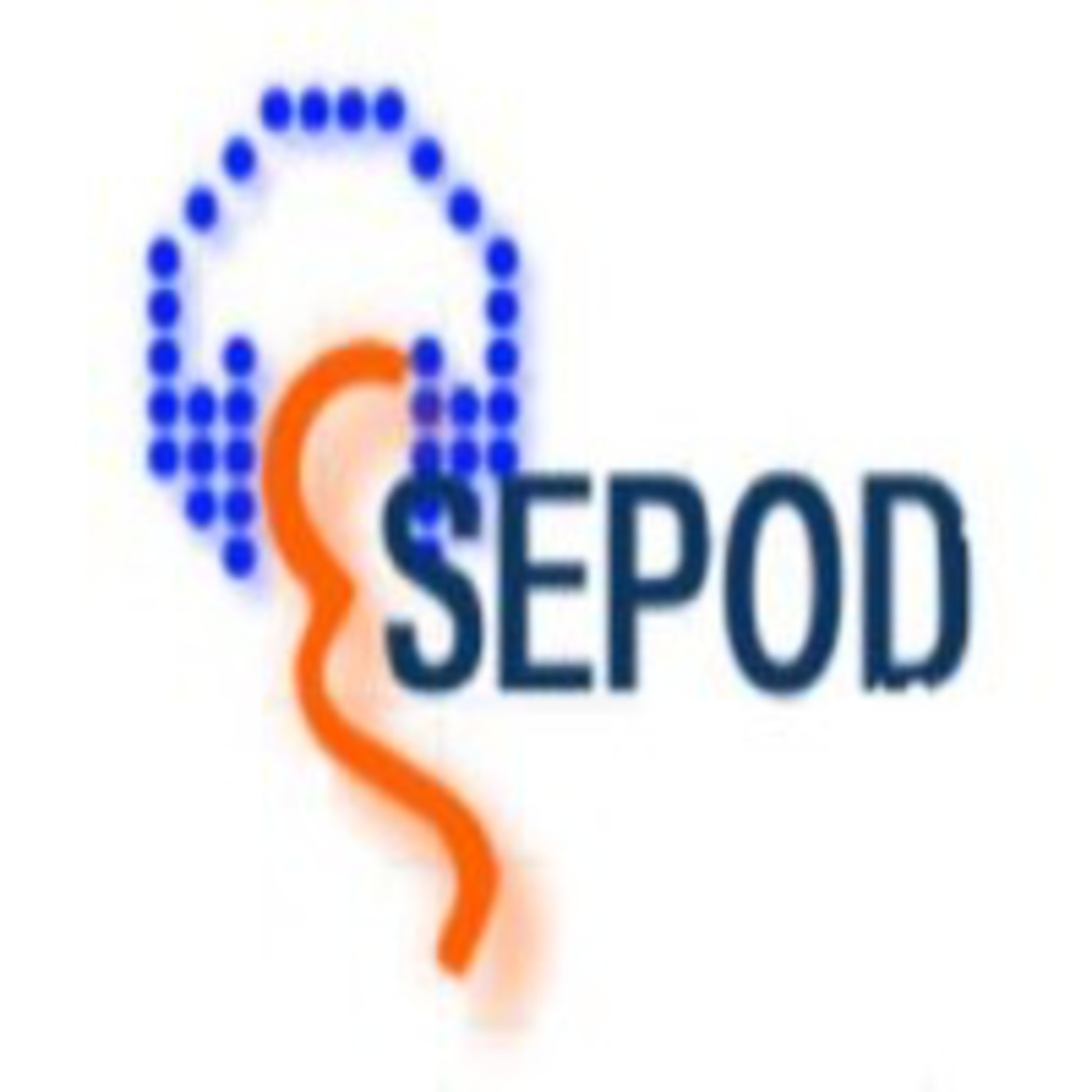 Podcast PIALE 2012 A2-01