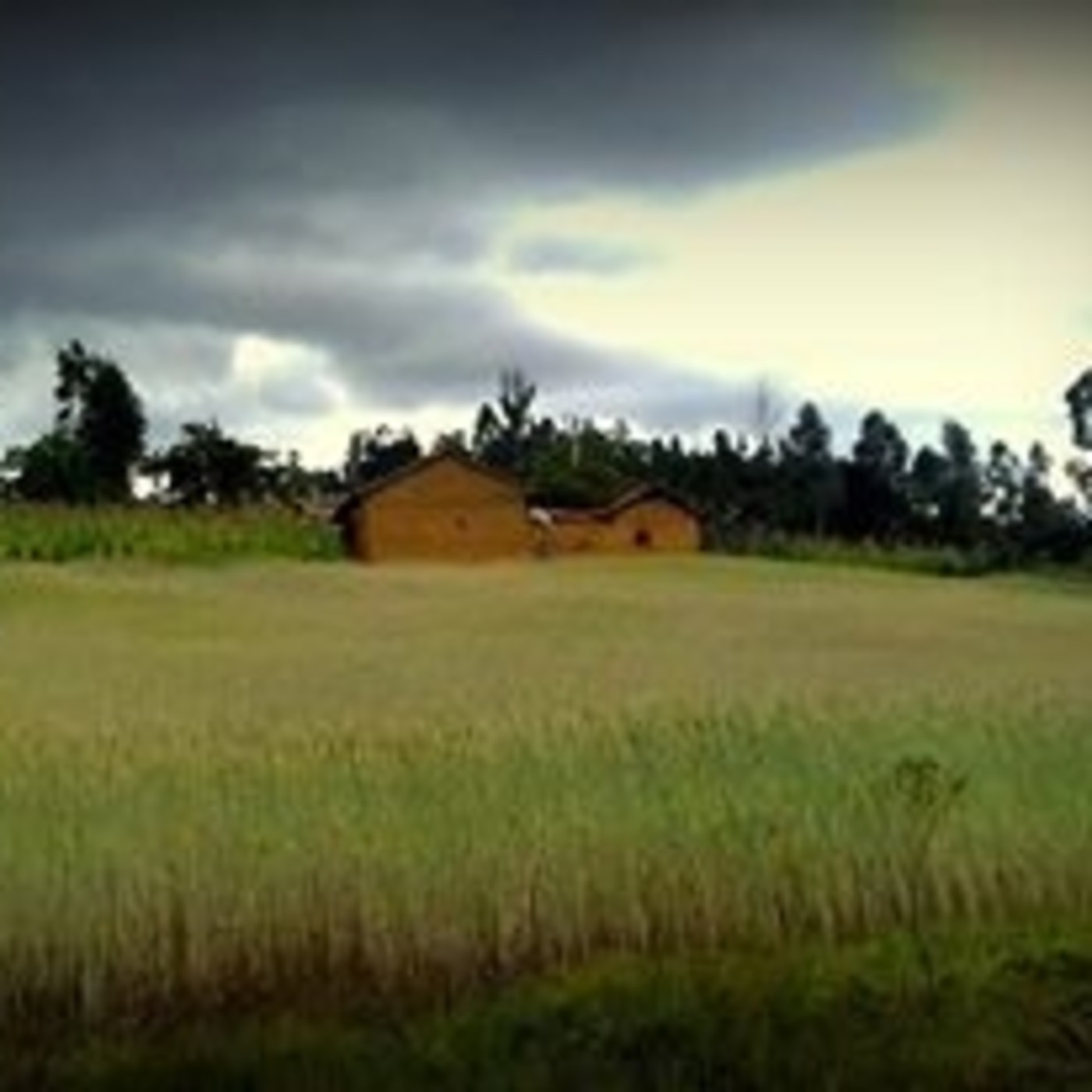 EL CAMPO, DESPENSA PARA DAR Y CONVIDAR