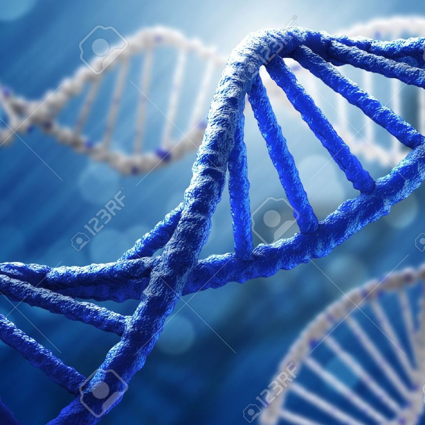 Bioquímica y toxicología