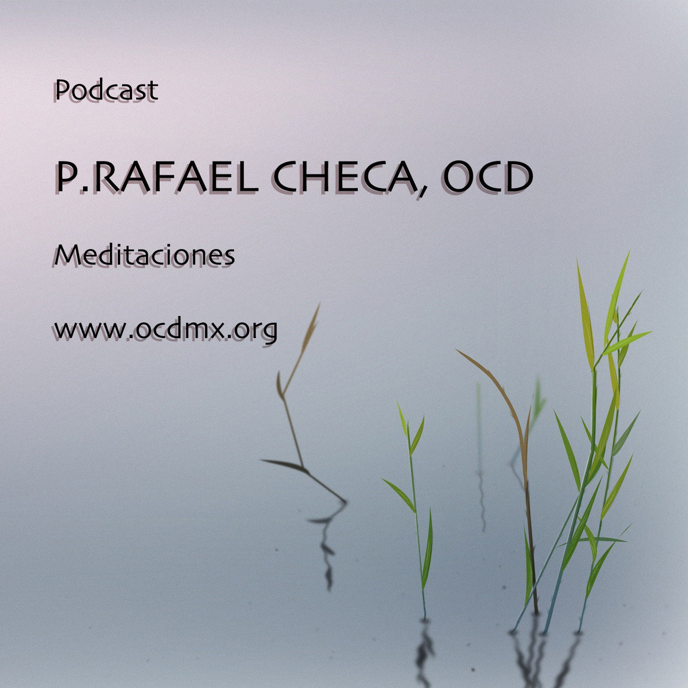 Meditaciones - Fr. Rafael Checa, OCD