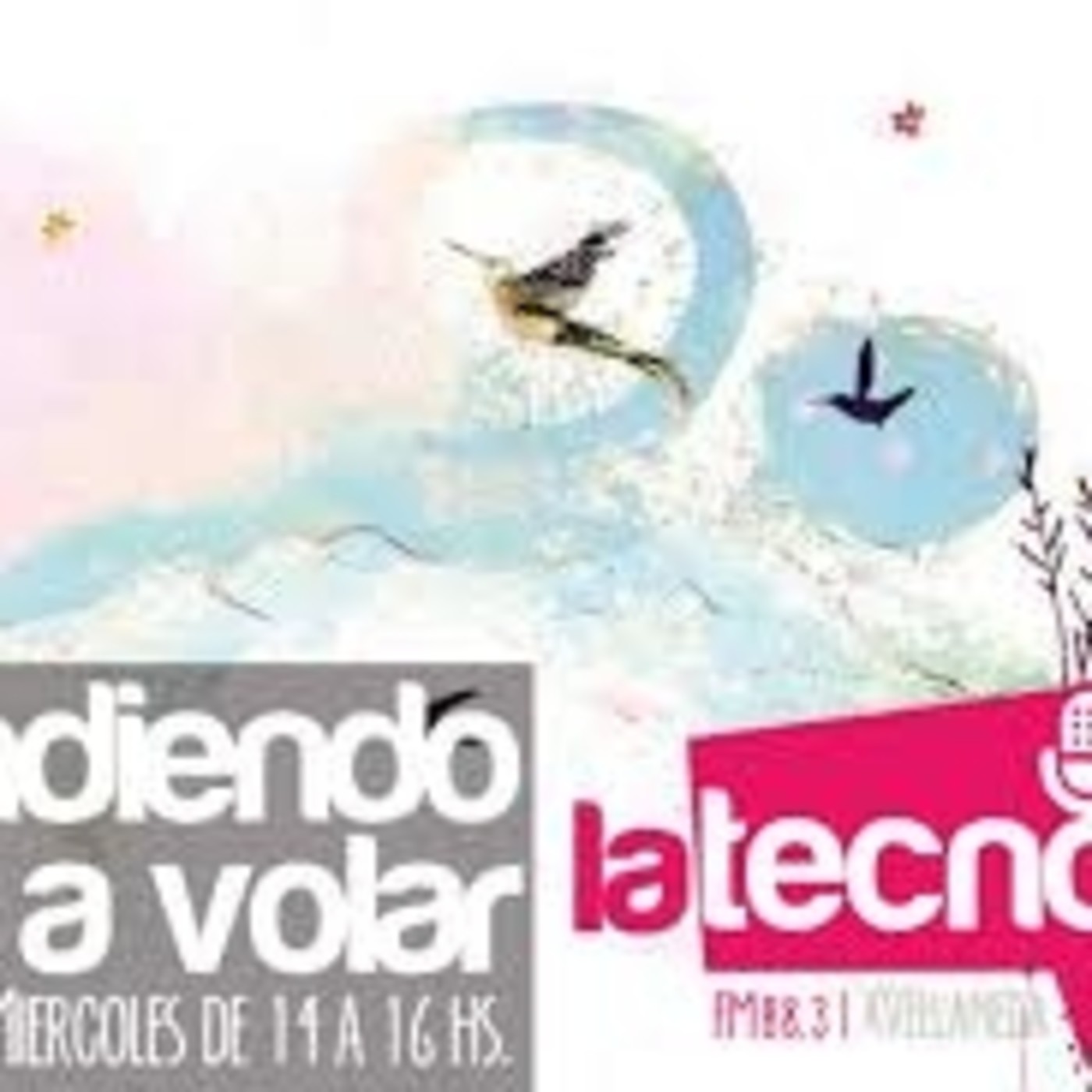 Aprendiendo a Volar