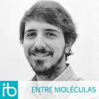 Entre Moléculas 39X01