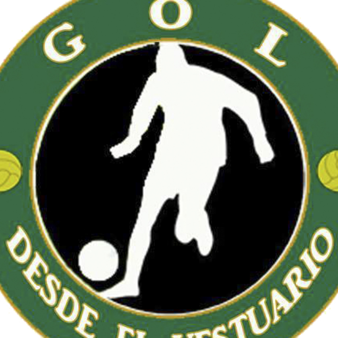 Gol de Rogel (Boca) a Guaraní Antonio Franco