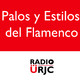 Palos y Estilos del Flamenco_T3_PGM2