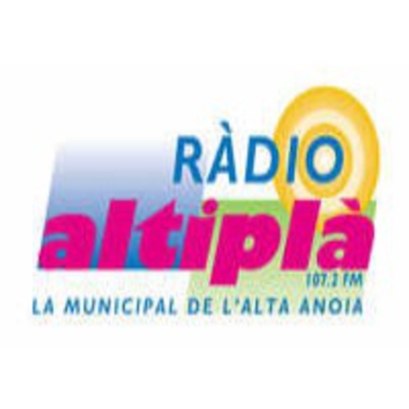 Eleccions Municipals 2011