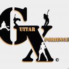 Guitar Experience