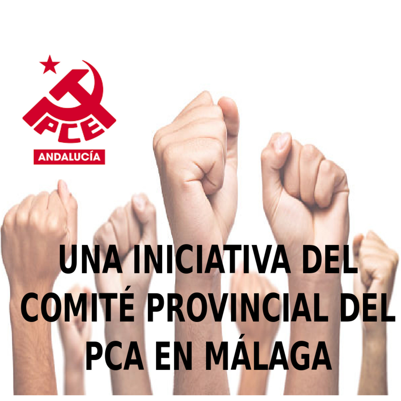 Las voces y los ecos