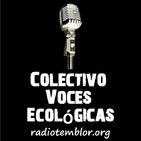 Radio Temblor Audios