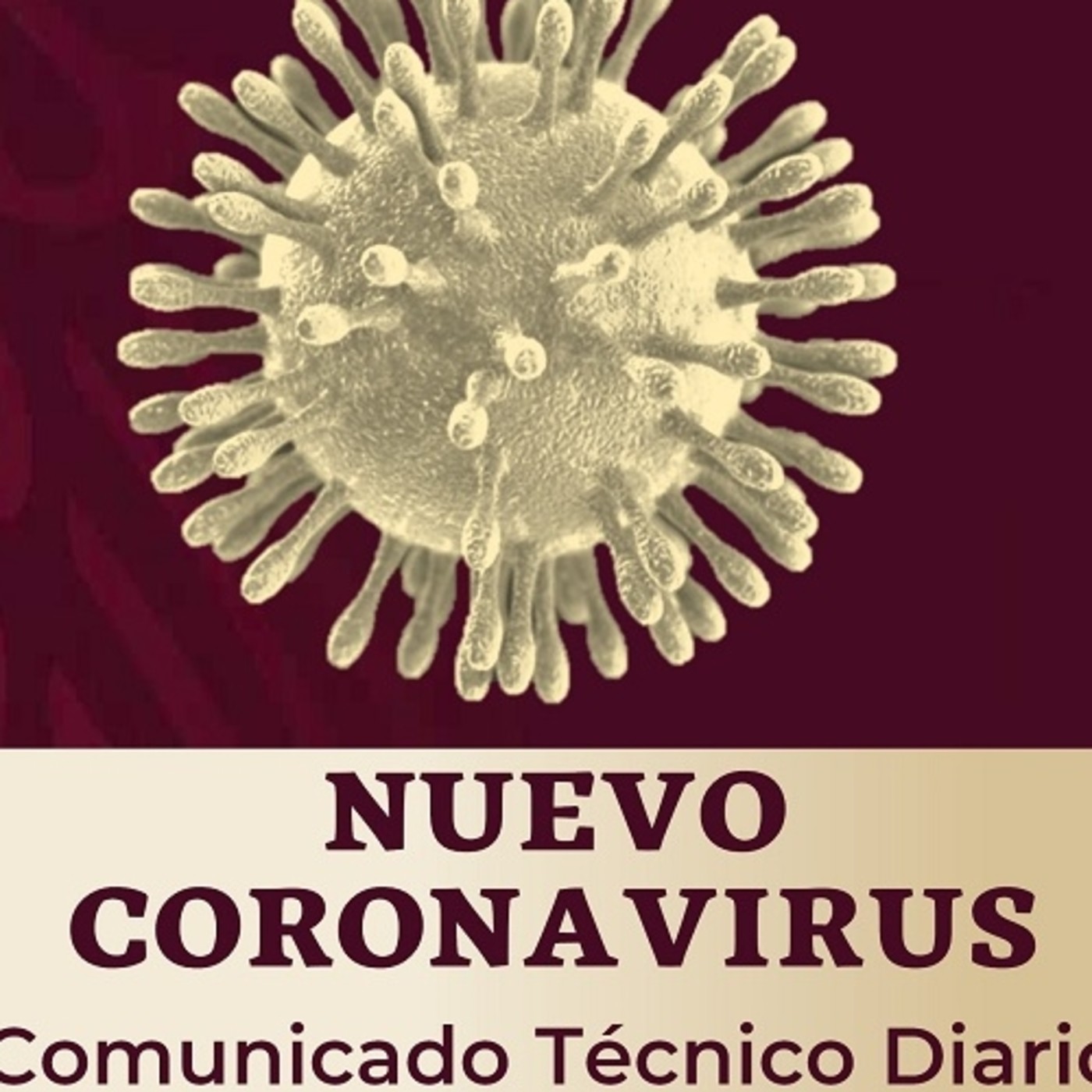 Conferencia Coronavirus México 25 Mzo 2020 #COVID-19mx @SSalud_mx