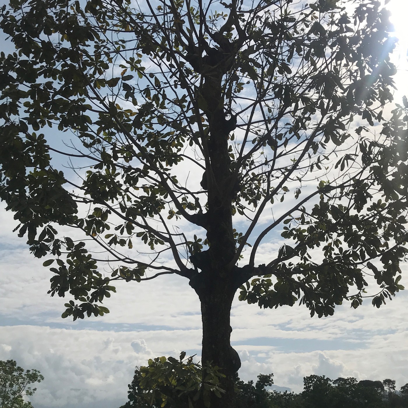 Casos Empresariales Podcast