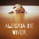 Episódio 82