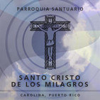 Homilía Dominical 507: El Resucitado entre nosotros. Domingo de Pascua.