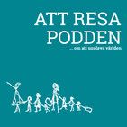 95: Att resa med tåg i olika delar av världen