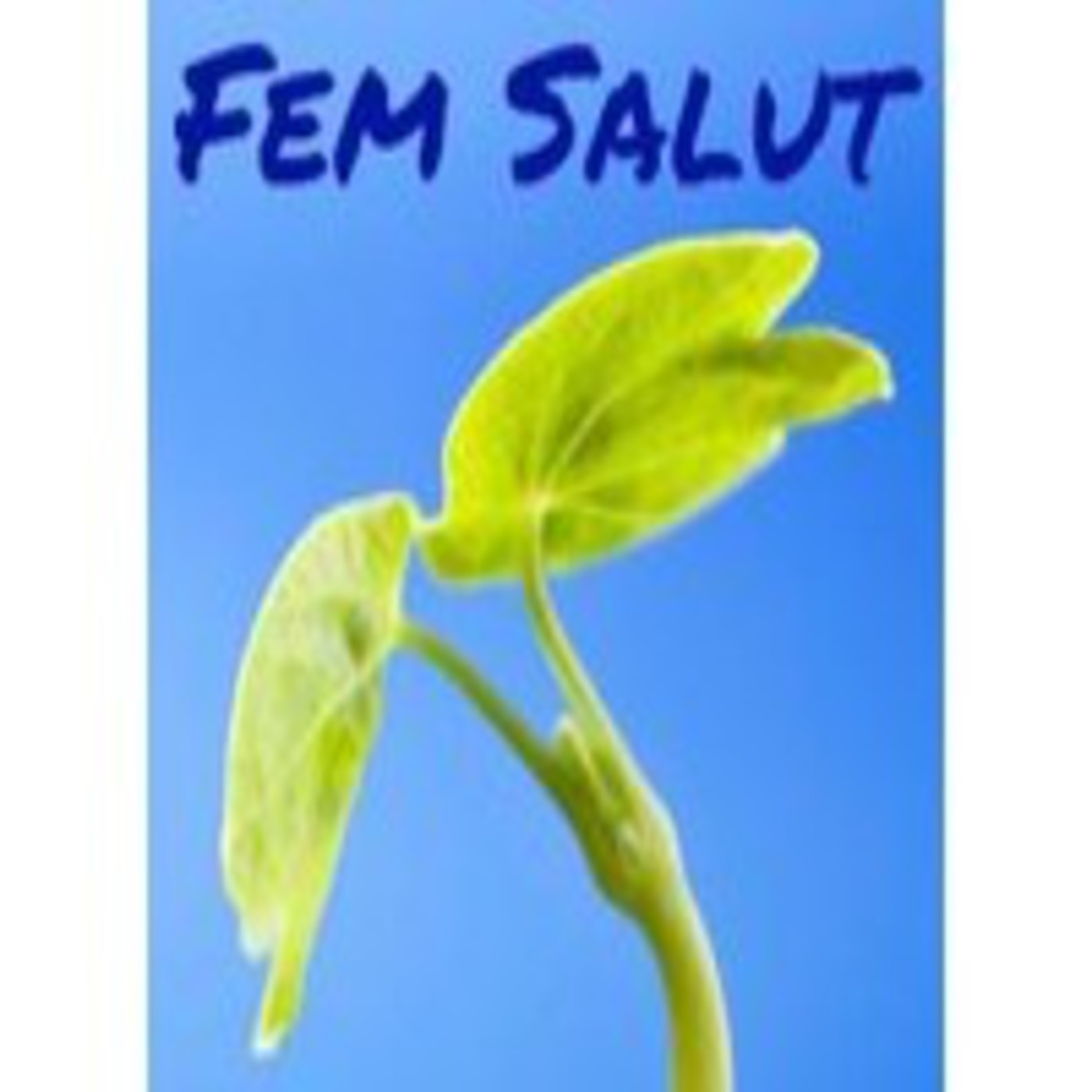 Fem Salut RT - Caminades