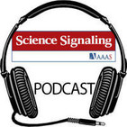 Science Signaling Podcast, 12 November 2013