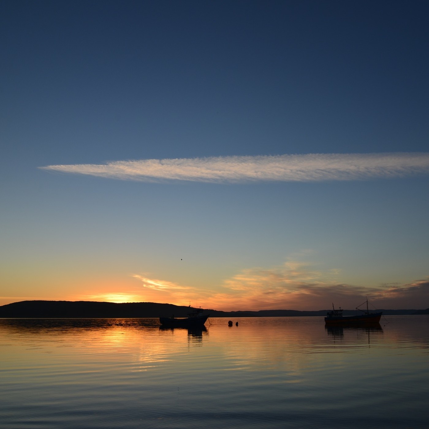 Un Mar Menor agonizante, ¿e irreparable?