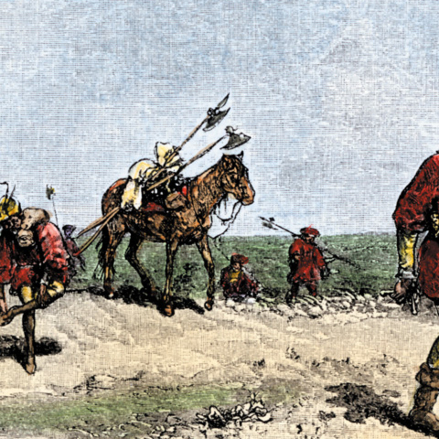 Domingo 15 de diciembre - Paralelo20