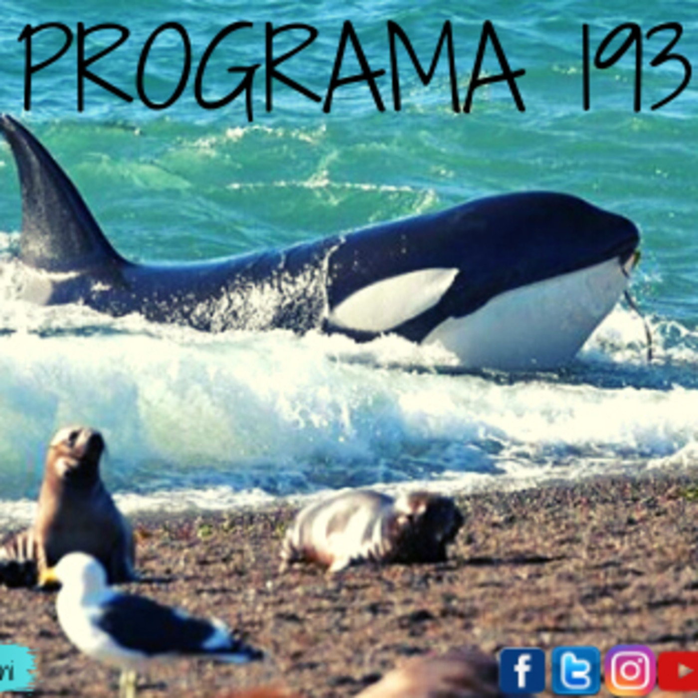Viajero Frecuente Radio - Programa 193